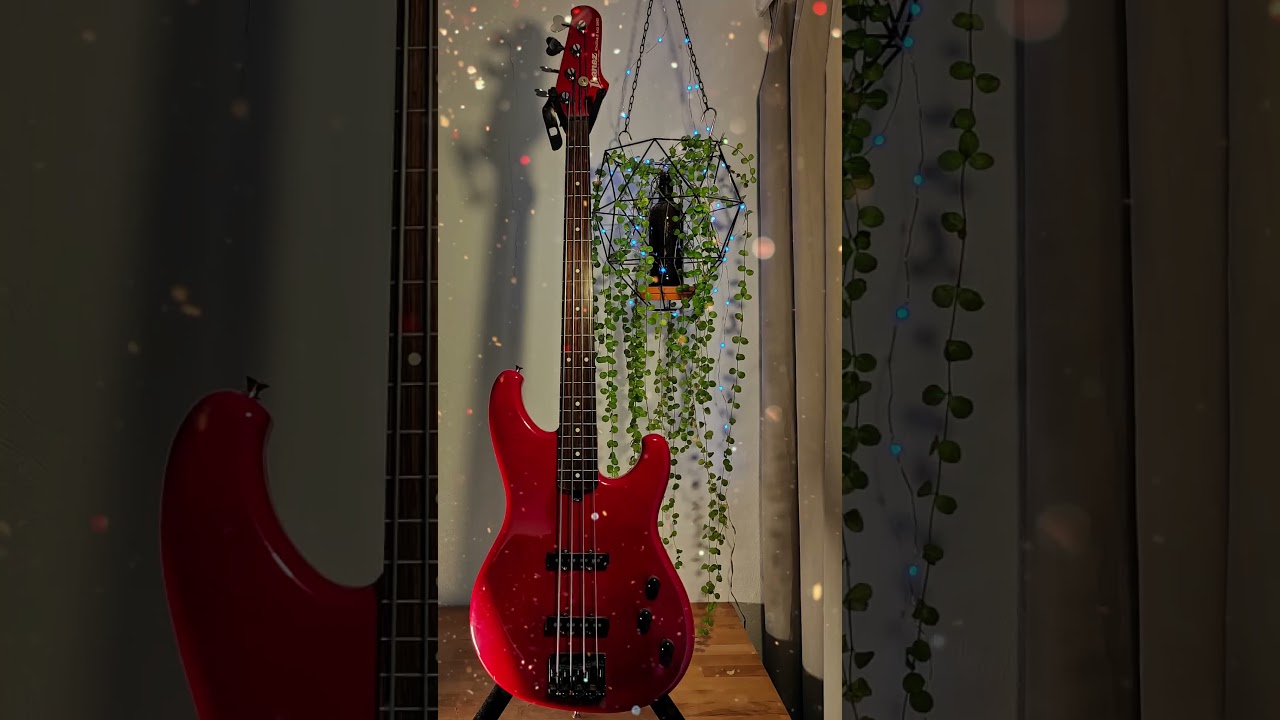 Obejrzyj which one?! #bass #slap #pop w YouTube Obejrzyj which one?! #bass #slap #pop w YouTube