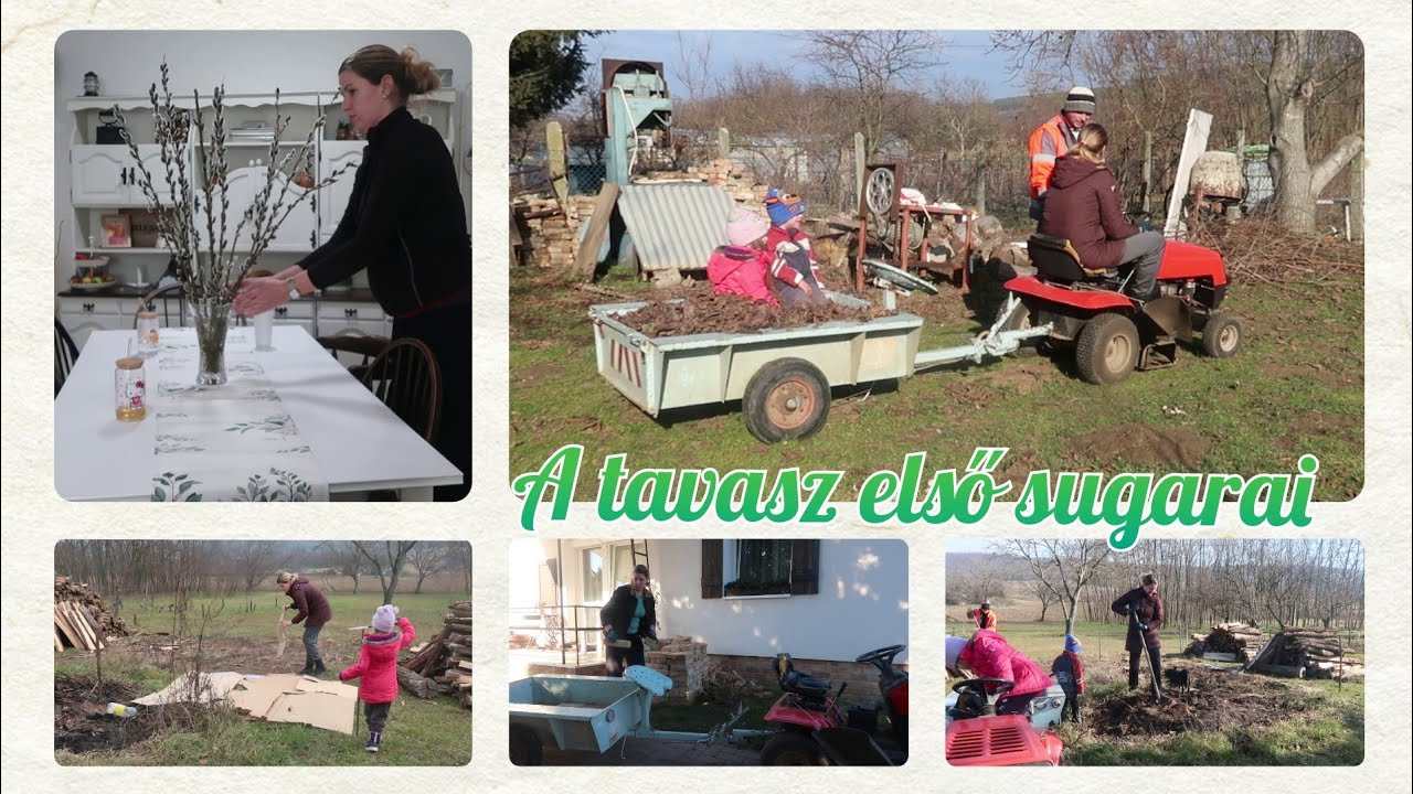 A TAVASZ ELSŐ SUGARAI