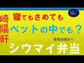 【崎陽軒】寝てもさめてもシウマイ、ファンにたまらない商品が発売です【大学生の為のニュース】