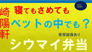 【崎陽軒】寝てもさめてもシウマイ、ファンにたまらない商品が発売です【大学生の為のニュース】