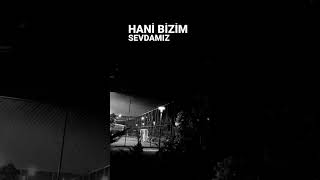 Bülent Ersoy, Hani bizim sevdamız Resimi