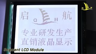 7 Segment LCD Module 5.0V FSTN Material Liquid Crystal With RGB Back Light