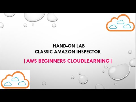 AWS | Hands on Lab - Amazon Inspector | CloudLearning