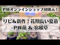 《2023年PW新作フロックス入手！》コスパ◎ほぼリピート３年連続購入夏苗／PW2022年／新作イベリス／カラーリーフフロックス