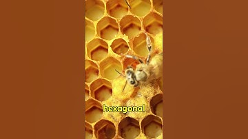 Why Is Honeycomb Hexagonal? 🐝#shorts