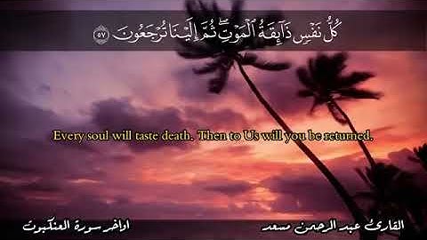 السورة كاملةً 