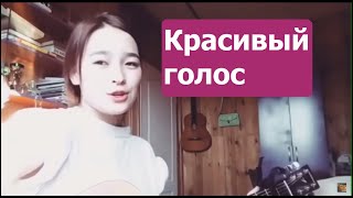 Очень красиво поет