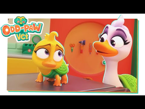 Aiutare il bambino Durtle e la madre Durtle 🐾 Odd-Paw Vet NUOVISSIMI Episodi 🐾 Cartoni per Bambini