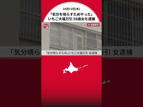 「ムシャクシャした気分を晴らすためにやった」"いちご大福"を上着ポケットに入れて万引きした58歳女を逮捕　北海道江別市