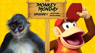 Monkey Monday Episode 1: Diddy Kong & Spider Monkey