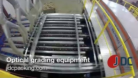 Elisam Optical Grading Equipment