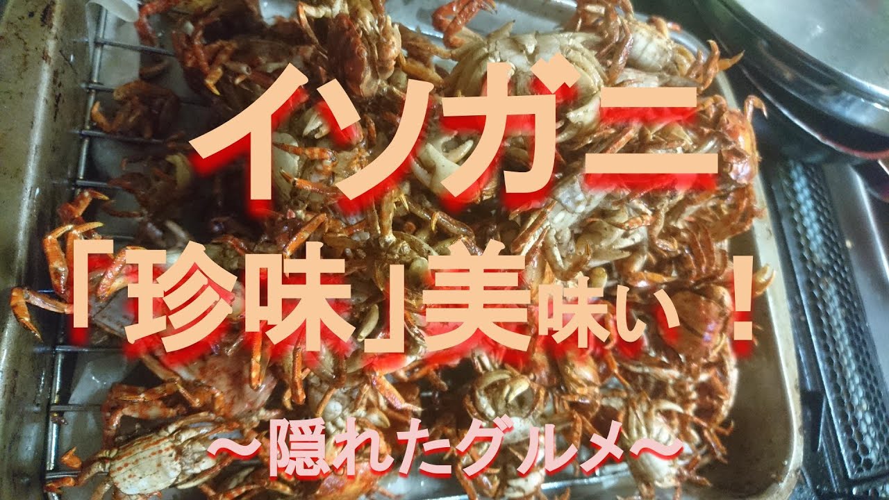 東京都内の若洲海浜公園産 珍味 イソガニを美味しく調理する Youtube 東京都内の若洲海浜公園産 珍味 イソガニを美味しく調理する Youtube