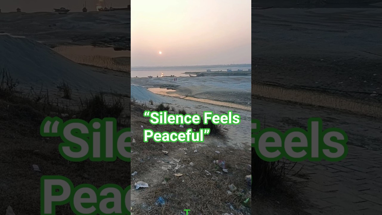 Peaceful Sunset by the Riverbank | A Moment of Silence & Nature 