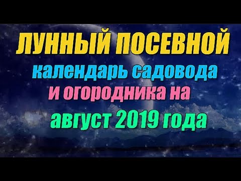 Лунный посевной календарь садовода и огородника на август 2019 года