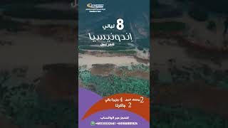 اندونيسيا شهر عسل 8 ليالي #اندونيسيا #جزيرة_بالي #travel #shorts