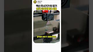 인류 최악의 해충 모기의 대반전 #백신 #과학실험 #지식