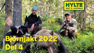 Björnjakt med Robin Strömqvist 2022 sista delen.