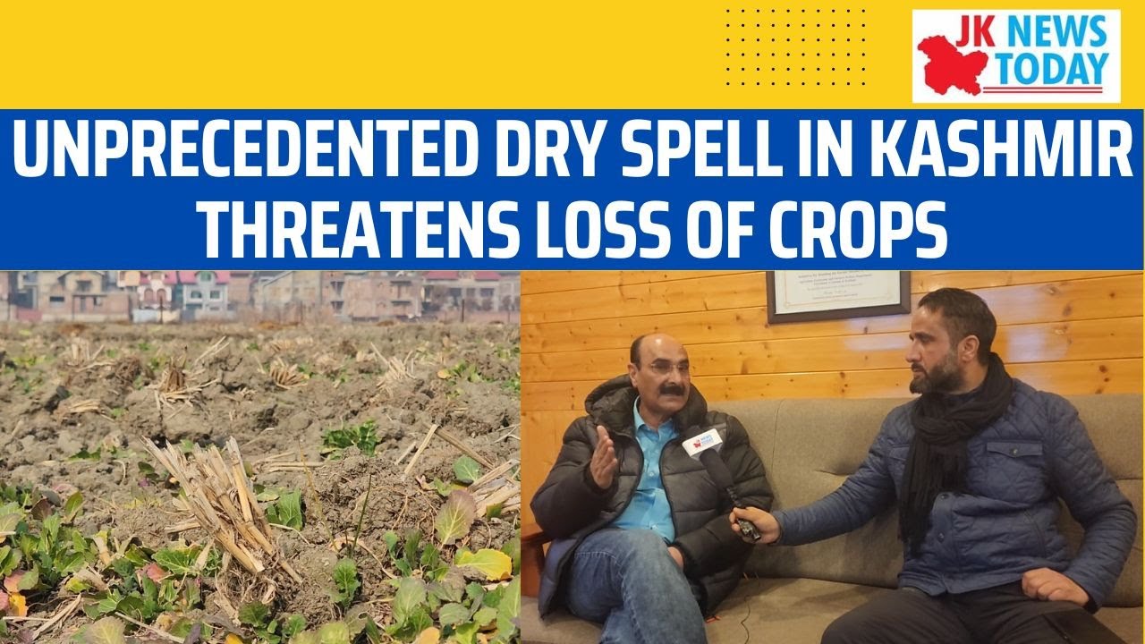 Unprecedented dry spell in Kashmir threatens loss of crops | JK News ...