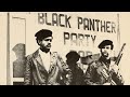 Black Panther Party History 2025