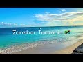The Tropical Life! Good Morning from Zanzibar in Tanzania 🇹🇿
