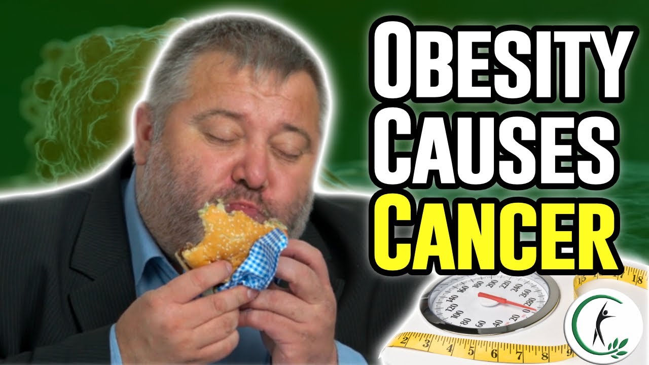 How Obesity Causes Cancer - Healthy Weight Loss For Cancer Patients ...