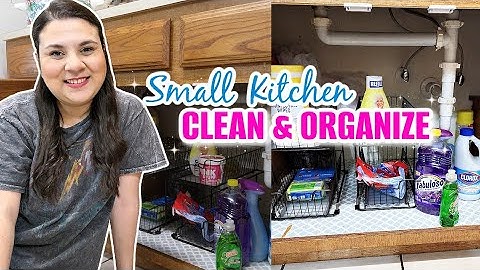Kitchen Clean and Organize 2023. Organizing Under The sink. Small Kitchen Clean and Organize.