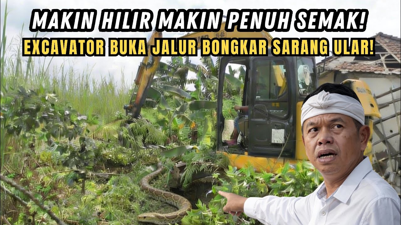 MISTERIUS❗MAKIN HILIR MAKIN PENUH SEMAK❗SARANG ULAR DI BONGKAR EXCAVATOR SAAT BUKA JALUR KALI VKC❗