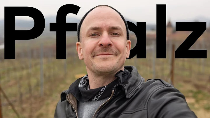ON THE ROAD - Master of Wine does Pfalz DEEP DIVE ...