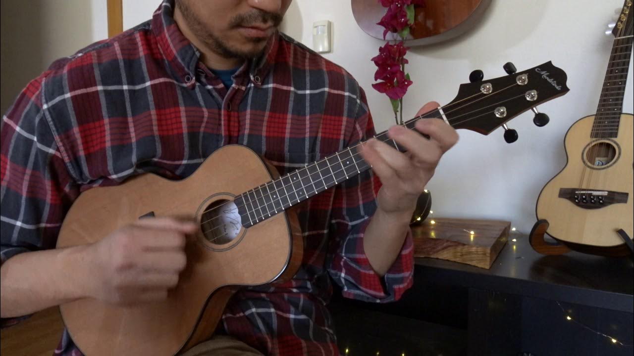 Squirrel of (limited) Possibility - Punch Brothers (almost...) - on the Mandolindo Squirrel of (limited) Possibility - Punch Brothers (almost...) - on the Mandolindo