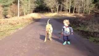 Could this be the cutest video ever? )