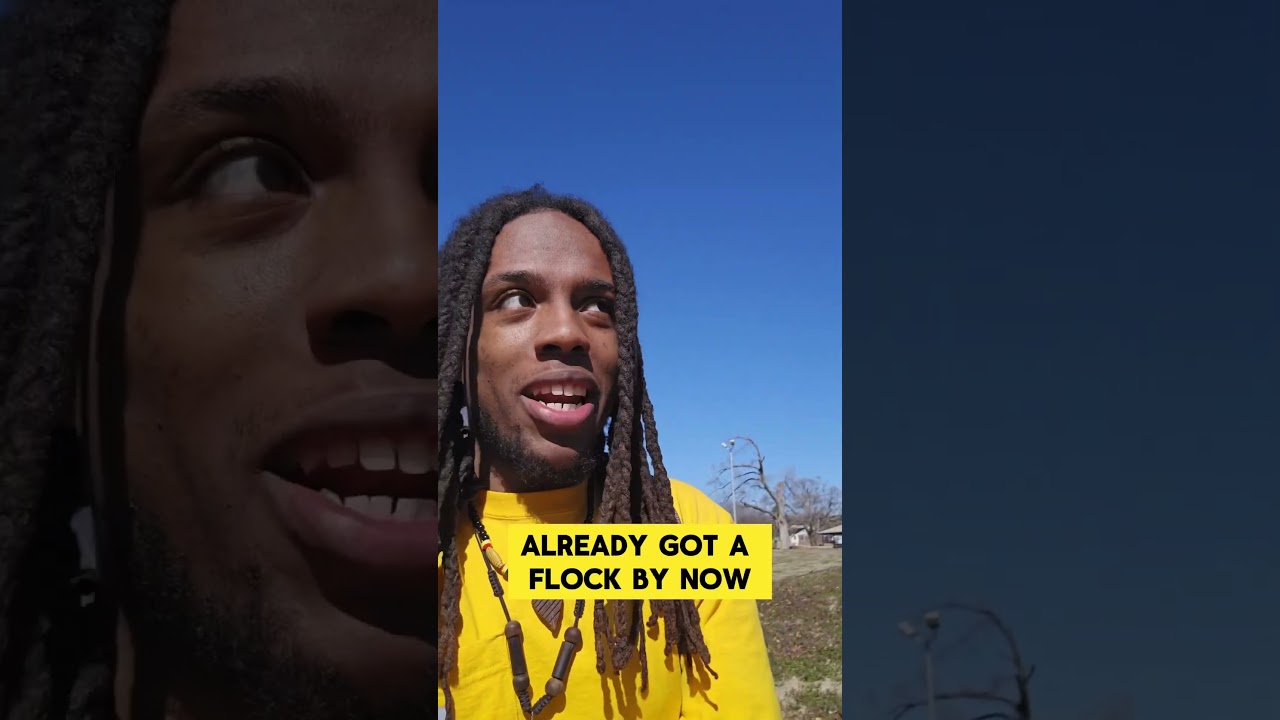 SONG: Wild Chold by Shyheim Nwadiei(available everywhere)