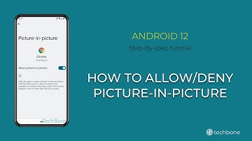 How to Allow/Deny Picture-in-picture [Android 12]