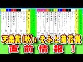 【直前情報!】<そふと菊花賞><天柔賞(秋)>出走馬紹介!~予想のヒントがここに!?🐴💡~(2025/10/19)