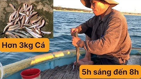 Câu Cá Thuẫn Trên Thuyền Thúng, Câu Đáy, Câu Cá Biển Tự Nhiên. TÝ FISHING ( Vietnamese fishing ).