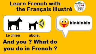 Chien Chat Poule Coq Video 164 Le Francais Illustre Chien Chat Poule Coq Video 164 Le Francais Illustre