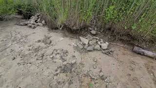 Stuck In The Mud Part1 Profile