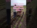 #power_tiller #tractor #giriraj_cultyvetor#desifarmer