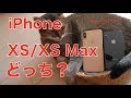 iPhone XS Maxを2週間、Xを11ヶ月使ってみてXSかMaxのどちらがいいのか考える