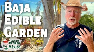 Explore Steven's Edible Landscape in Todos Santos Mexico