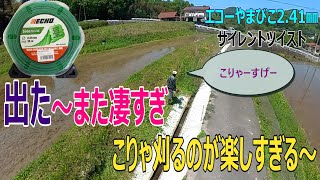 エコーサイレントツイスト2.41㎜で長い法面を刈り飛ばします。途中からチップに替えるつもりで刈り始めましたが、何じゃこりゃーっていいながら全部刈ってしまいました。最高です！！