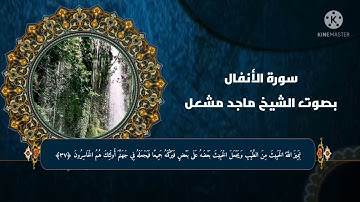 تلاوة مميزة لسورة الأنفال بصوت الشيخ ماجد مشعل
