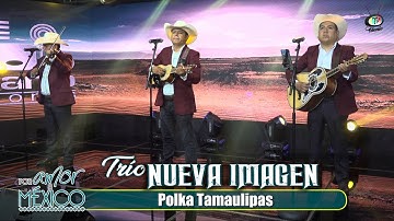 Trío Nueva Imagen - Polka Tamaulipas (Video Oficial)