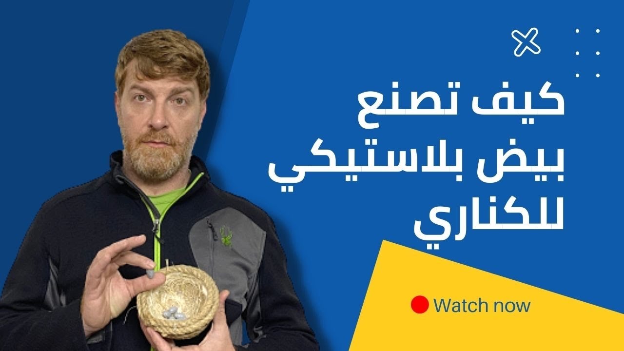 How to make plastic fake eggs canary كيف تصنع بيض مزيف بلاستيكي للكناري