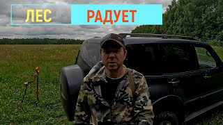 :      /Search for ancient finds on a country road