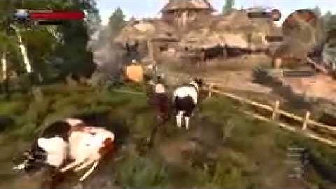 The Witcher 3 dev solved the games money exploit in the best way possible