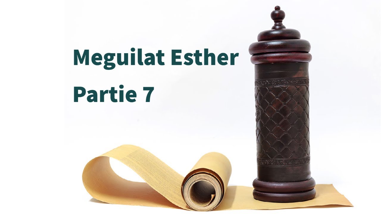 Rav David Benitah -  Etude sur la Meguilat Esther ch. 7