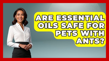 Are Essential Oils Safe For Pets With Ants? - Insects and Invaders