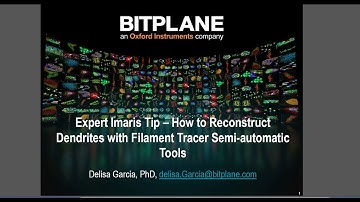 How to Reconstruct Complex Neurons with Filament Tracer Tools | Tutorial