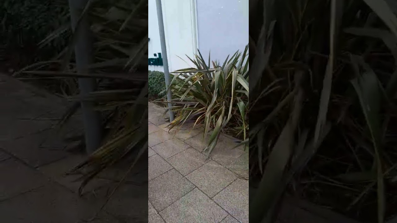 Дневной видеоблог 😊