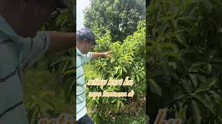 Download Lagu Judul lagu : Berkebun MP3